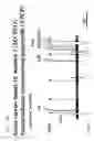 Fig. 261 - Detection of genetic polymorphisms