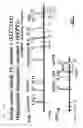 Fig. 262 - Detection of genetic polymorphisms