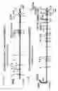 Fig. 263 - Detection of genetic polymorphisms