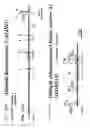 Fig. 273 - Detection of genetic polymorphisms