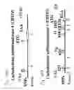 Fig. 303 - Detection of genetic polymorphisms