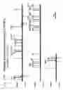 Fig. 331 - Detection of genetic polymorphisms