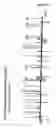 Fig. 48 - Detection of genetic polymorphisms