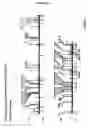 Fig. 98 - Detection of genetic polymorphisms