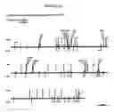 Fig. 99 - Detection of genetic polymorphisms