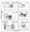 Fig. 01 - Compositions and methods for treating and diagnosing cancer
