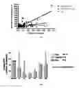 Fig. 03 - Efficacy of calcimimetic agents
