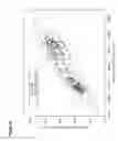 Fig. 25 - Methods for identifying, diagnosing, and predicting survival of lymphomas