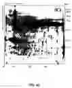 Fig. 12 - Biomarkers for toxic algae