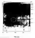 Fig. 19 - Biomarkers for toxic algae