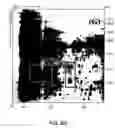 Fig. 23 - Biomarkers for toxic algae