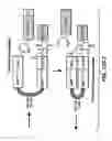 Fig. 34 - In vivo production of cyclic peptides