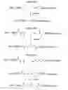 Fig. 30 - Methods, kits and compositions pertaining to combination oligomers and libraries for their preparation