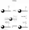 Fig. 06 - Methods for determining protein binding specificity using peptide libraries