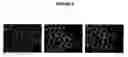 Fig. 10 - Methods for determining protein binding specificity using peptide libraries