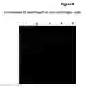 Fig. 11 - Cell lysis composition, methods of use, apparatus, and kit