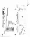 Fig. 03 - Polypeptide complex of TRPM8 and calmodulin and its uses thereof