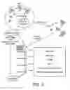 Fig. 03 - Method and apparatus for signal transduction pathway profiling