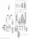 Fig. 04 - Method and apparatus for signal transduction pathway profiling