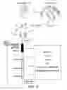 Fig. 07 - Method and apparatus for signal transduction pathway profiling