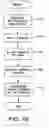 Fig. 19 - Method and apparatus for signal transduction pathway profiling
