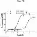 Fig. 13 - Methods of identifying compounds that inhibit Notch cleavage