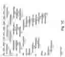 Fig. 04 - Virulence Associated Nucleic Acid Sequences and Uses Thereof