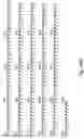 Fig. 112 - Virulence Associated Nucleic Acid Sequences and Uses Thereof