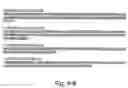 Fig. 63 - Virulence Associated Nucleic Acid Sequences and Uses Thereof