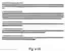 Fig. 76 - Virulence Associated Nucleic Acid Sequences and Uses Thereof