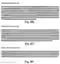 Fig. 85 - Virulence Associated Nucleic Acid Sequences and Uses Thereof