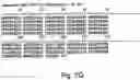 Fig. 93 - Virulence Associated Nucleic Acid Sequences and Uses Thereof