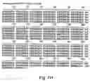 Fig. 94 - Virulence Associated Nucleic Acid Sequences and Uses Thereof