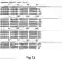 Fig. 96 - Virulence Associated Nucleic Acid Sequences and Uses Thereof