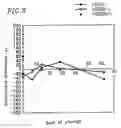Fig. 03 - EXTRACORPOREAL DIAGNOSTIC