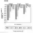 Fig. 08 - EXTRACORPOREAL DIAGNOSTIC