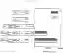 Fig. 03 - Multiple gene transcription activity assay system