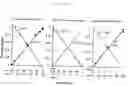 Fig. 22 - Multiple gene transcription activity assay system