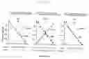 Fig. 23 - Multiple gene transcription activity assay system
