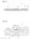 Fig. 11 - Probe for measuring electric potential of cell