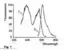 Fig. 02 - Modified green fluorescent proteins and methods for using same