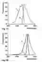 Fig. 08 - Modified green fluorescent proteins and methods for using same
