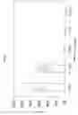 Fig. 09 - NF-κB activating gene