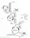 Fig. 05 - Dna encoding a protein having d-lactate dehydrogenase activity and uses thereof