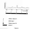 Fig. 03 - Method for the controlled release of calcium from intracellular calcium stores of oocytes