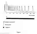 Fig. 05 - Method for the controlled release of calcium from intracellular calcium stores of oocytes