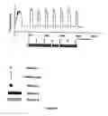 Fig. 08 - Method for the controlled release of calcium from intracellular calcium stores of oocytes