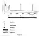 Fig. 09 - Method for the controlled release of calcium from intracellular calcium stores of oocytes