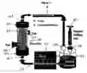 Fig. 02 - In vitro growth of tissues suitable to the formation of bone and bone forming tissue formed thereby