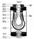 Fig. 06 - In vitro growth of tissues suitable to the formation of bone and bone forming tissue formed thereby